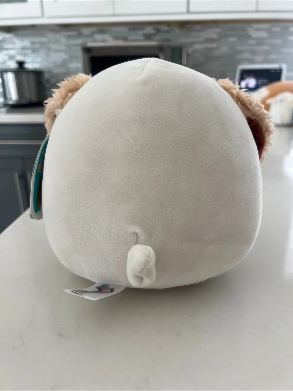 Squishmallows Plush Dog Toy - Cream, Tan & White Harrison (9 inches)